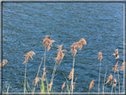 foto Lago di Caldonazzo